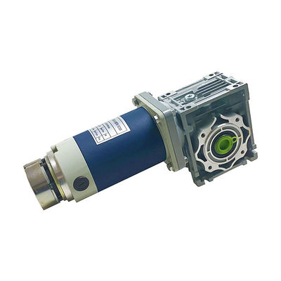 90mm Worm Gear DC Motor 250W 12V 24V D Shaft Type 50rpm YLP 80BL-154-3