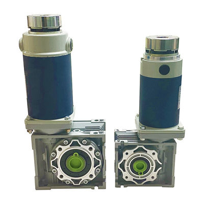 90mm Worm Gear DC Motor 250W 12V 24V D Shaft Type 50rpm YLP 80BL-154-3