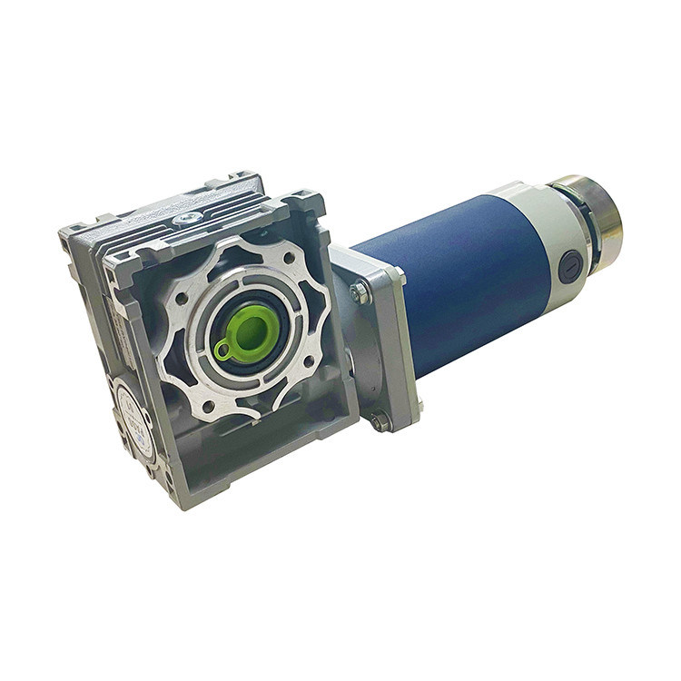 90mm Worm Gear DC Motor 250W 12V 24V D Shaft Type 50rpm YLP 80BL-154-3